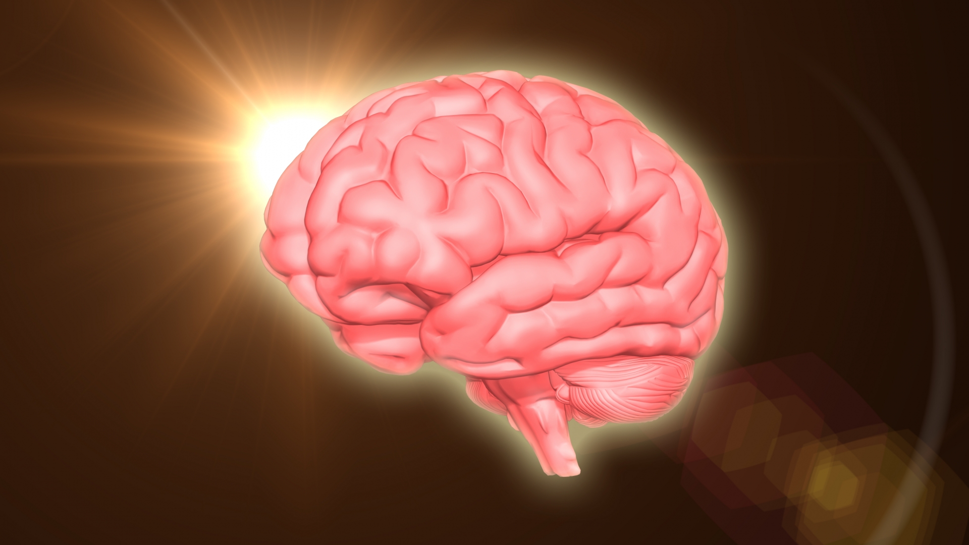 「〇〇をすると脳が活性化する」って結局どういうことなの？【新書読書】